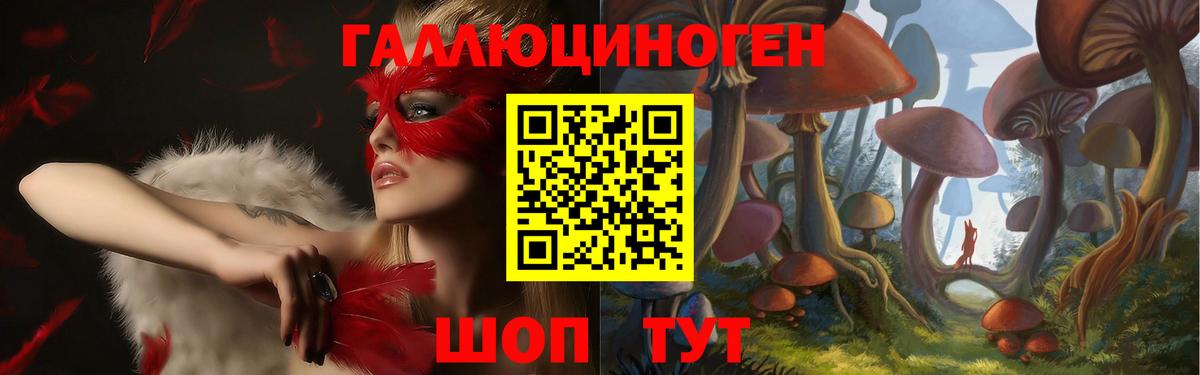 Псилоцибиновые грибы Psilocybe  Вход с VPN  Железногорск  Галлюциногенные грибы мицелий 